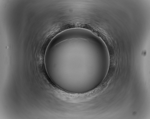 X0000099410039200805091230