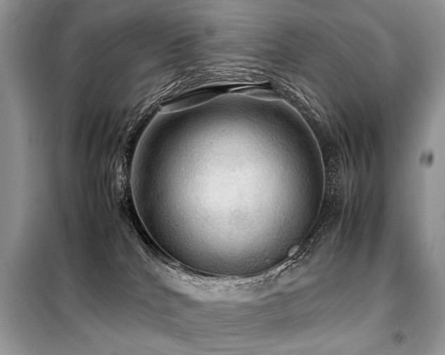 X0000099410040200805091230