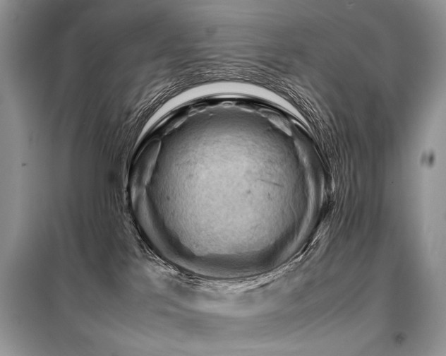 X0000099410041200805091230