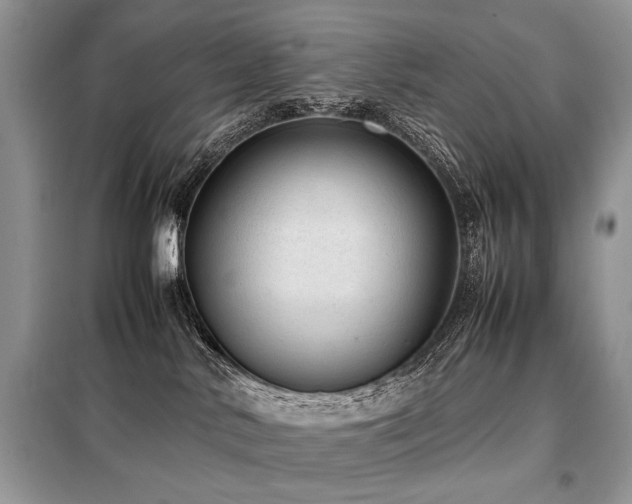 X0000099410042200805091230