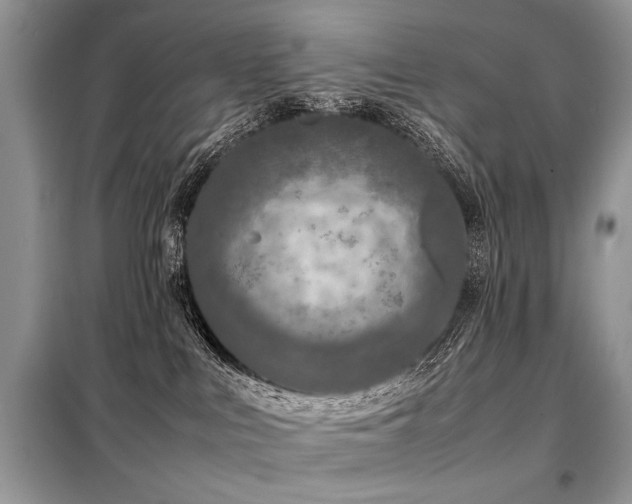 X0000099410043200805091230