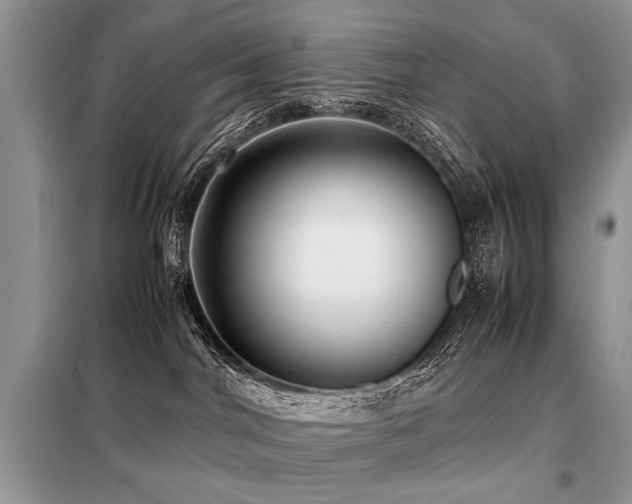 X0000099410044200805091230