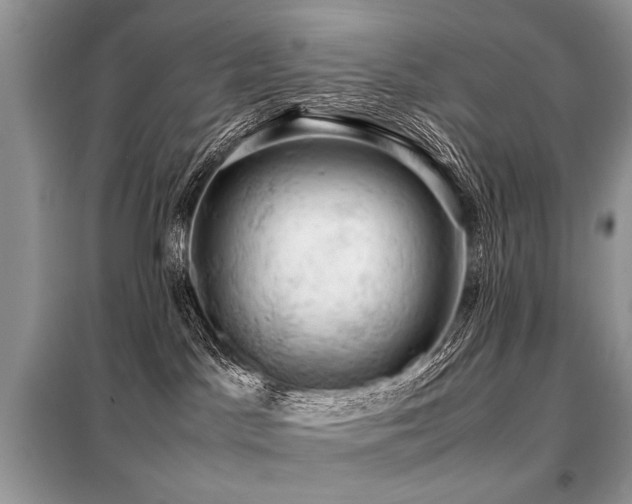 X0000099410045200805091230