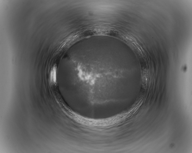 X0000099410046200805091230