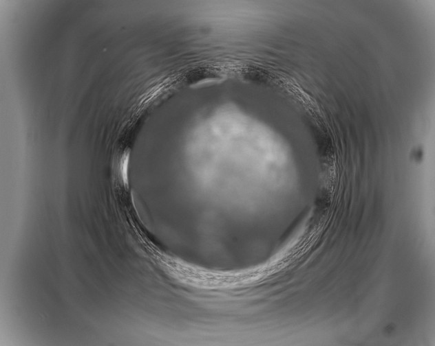 X0000099410047200805091230