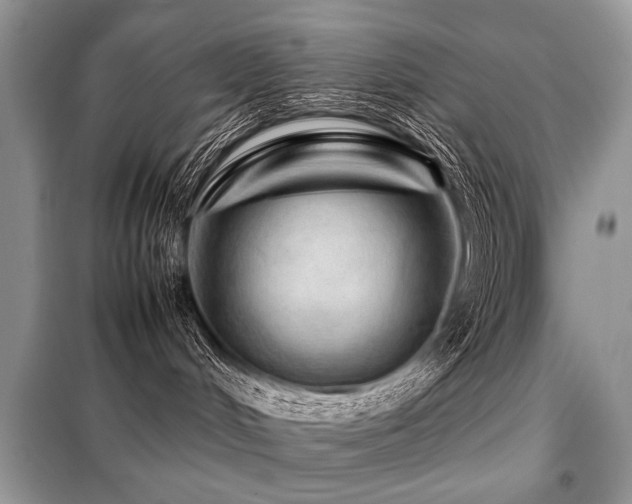 X0000099410048200805091230