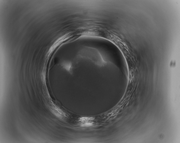 X0000099410051200805091229