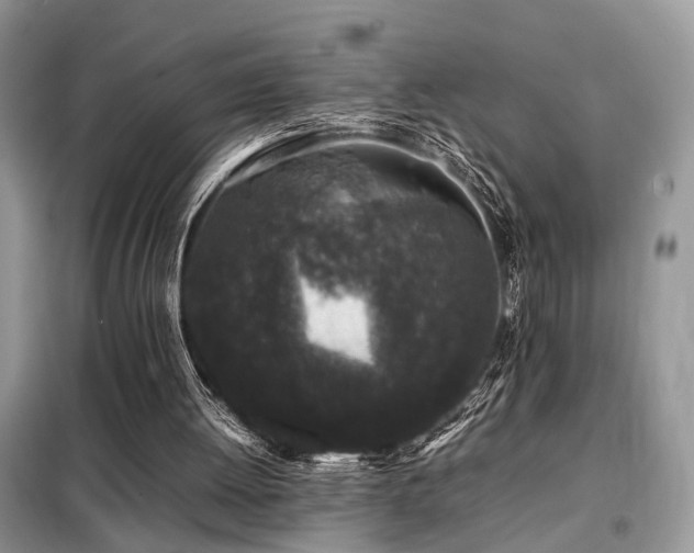 X0000099410052200805091229