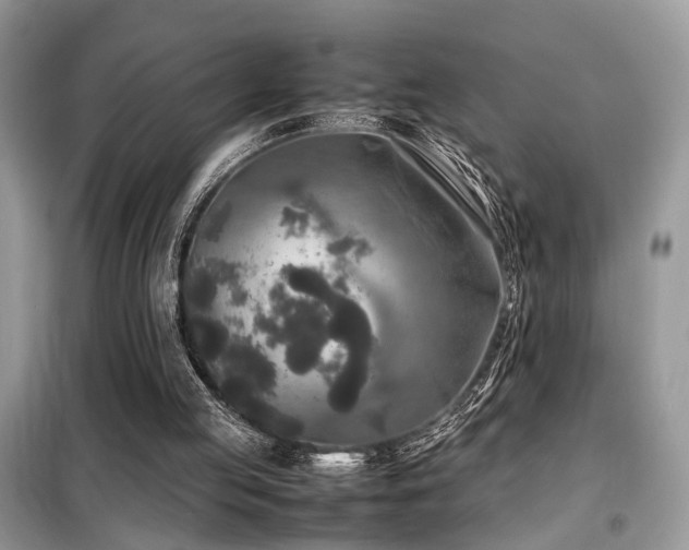 X0000099410053200805091229