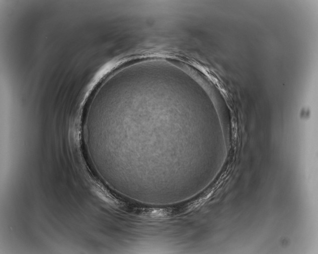 X0000099410056200805091229