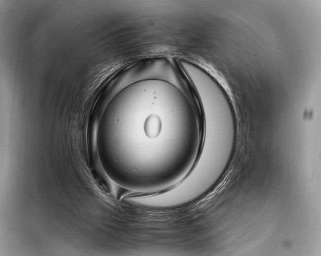 X0000099410057200805091229