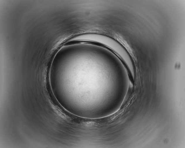 X0000099410058200805091229