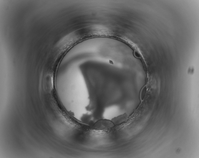 X0000099410061200805091229