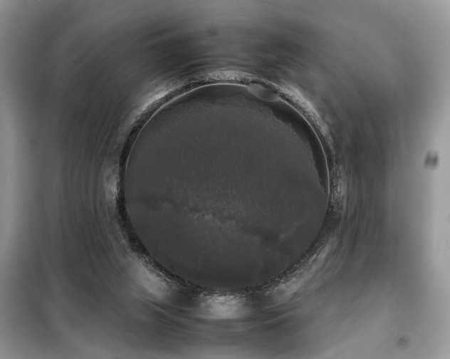 X0000099410063200805091229