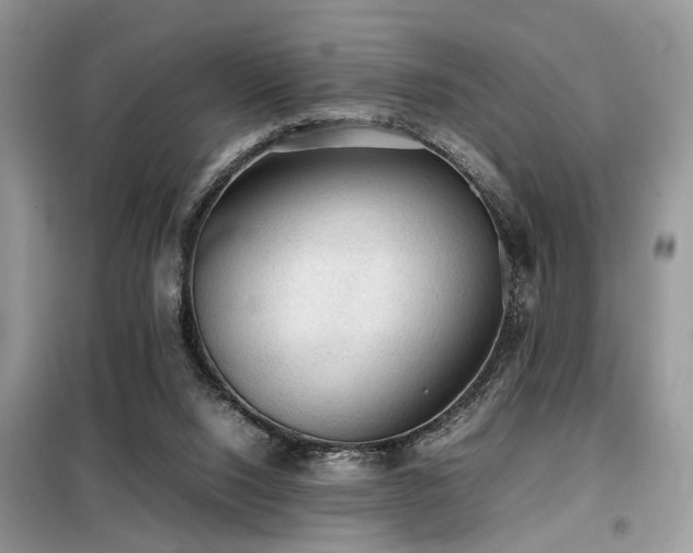 X0000099410064200805091229