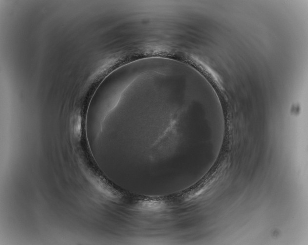 X0000099410067200805091229