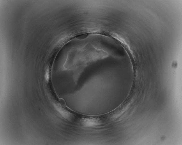 X0000099410069200805091229