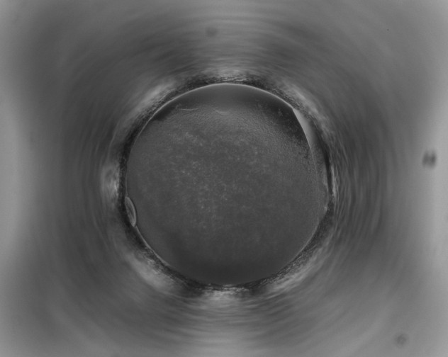 X0000099410072200805091229