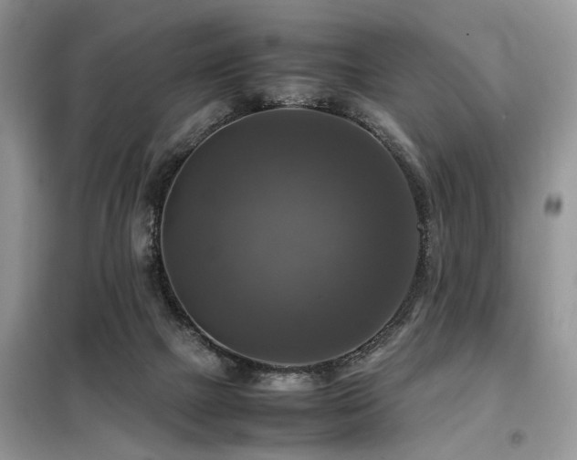 X0000099410073200805091229