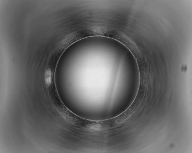 X0000099410075200805091230