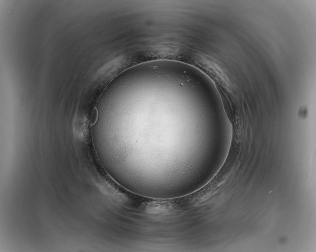 X0000099410077200805091230