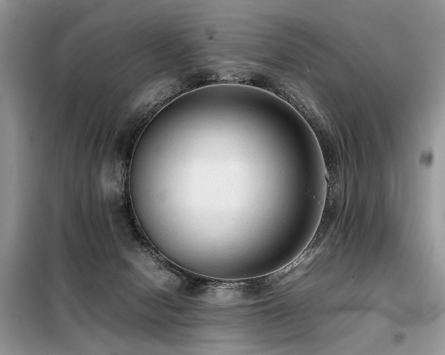X0000099410078200805091230