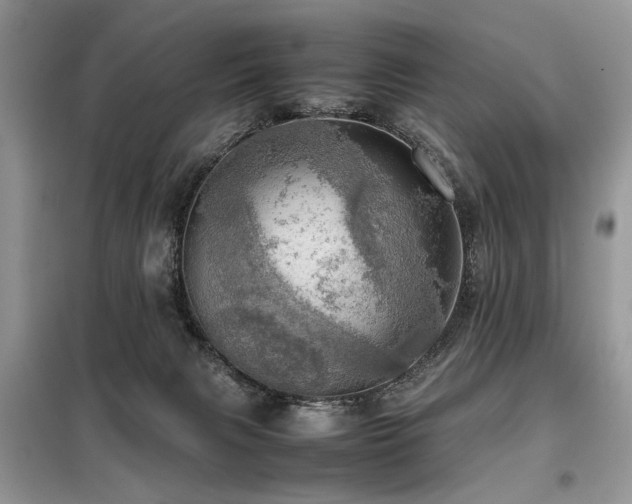 X0000099410079200805091230