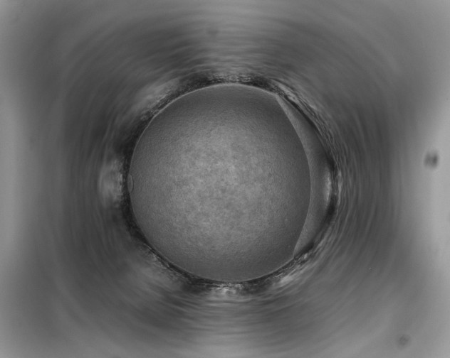 X0000099410080200805091230