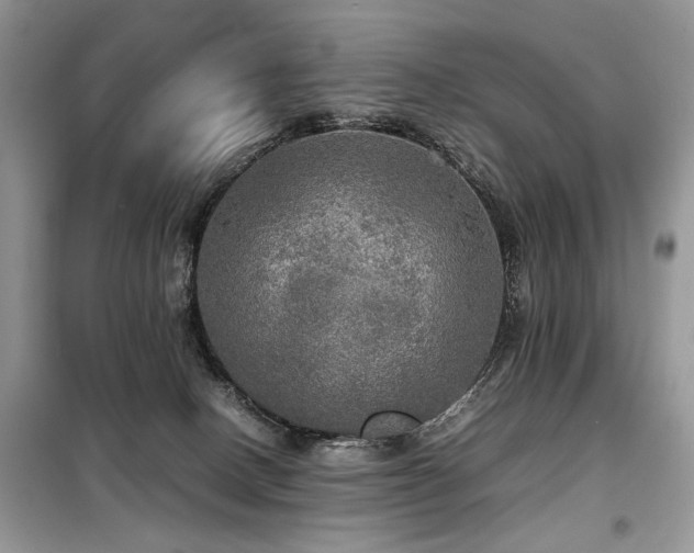 X0000099410082200805091230