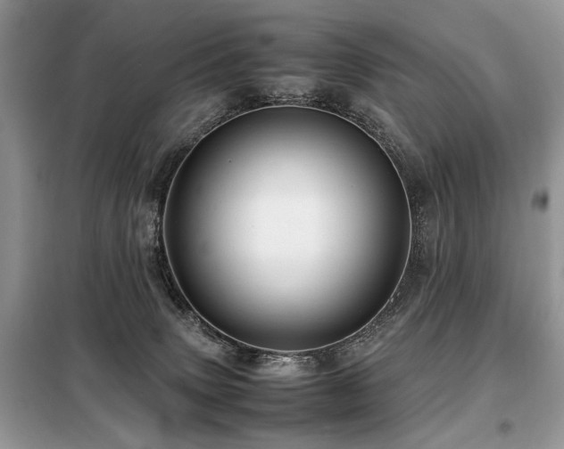 X0000099410083200805091230