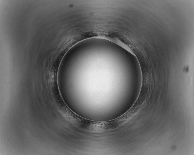 X0000099410084200805091230