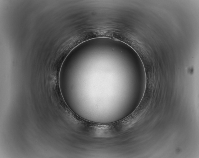 X0000099410085200805091230