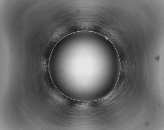 X0000099410086200805091230