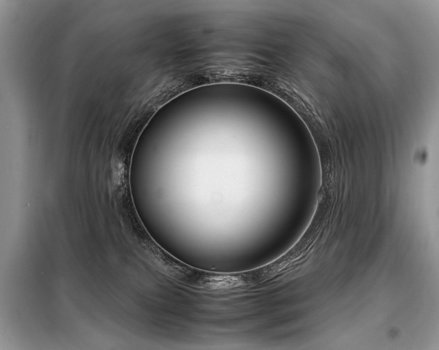 X0000099410087200805091230