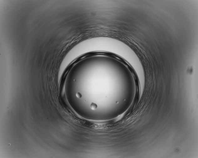 X0000099410088200805091230