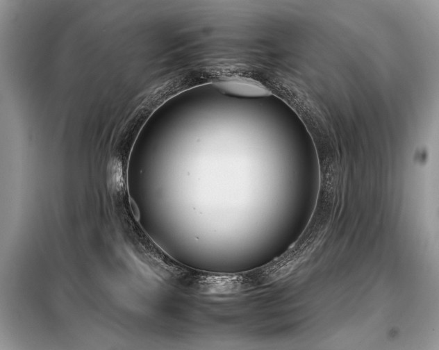X0000099410089200805091230