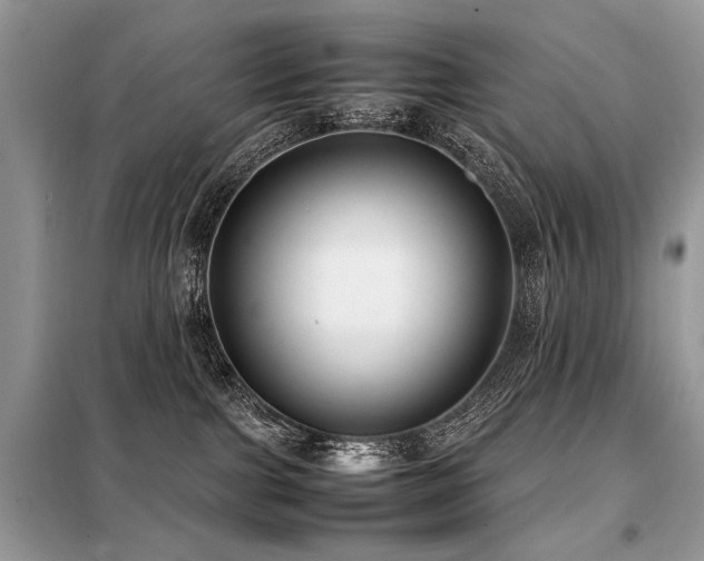 X0000099410091200805091230