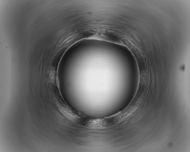 X0000099410092200805091230