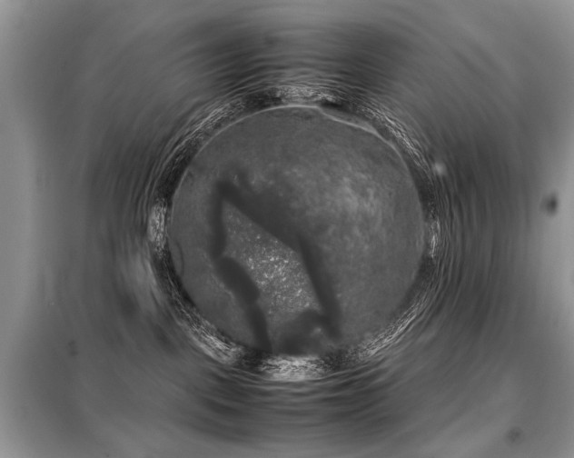 X0000099410093200805091230