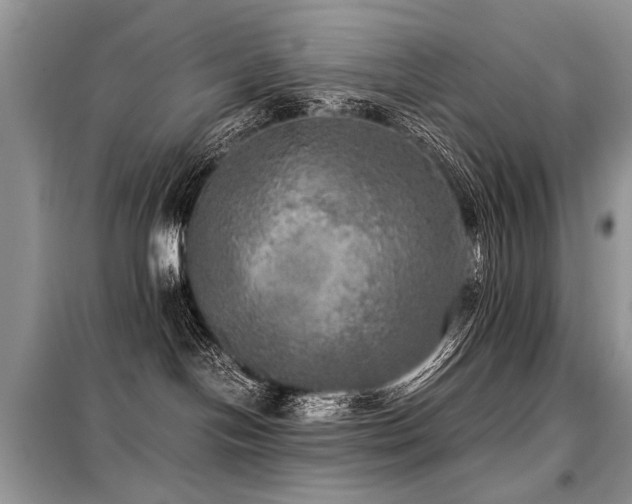 X0000099410094200805091230
