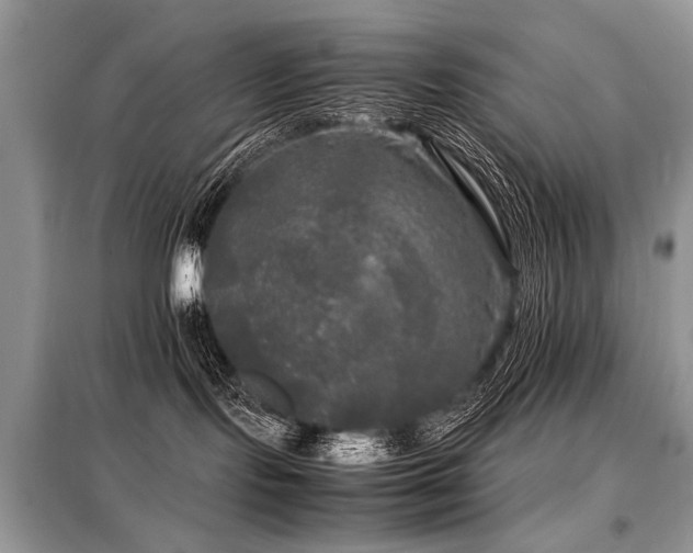 X0000099410095200805091230