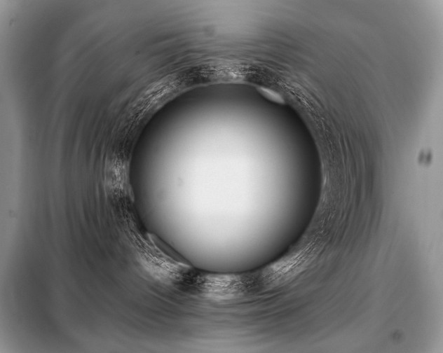 X0000099410096200805091230