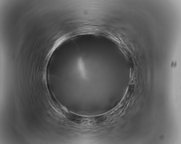 X0000099410099200805091229