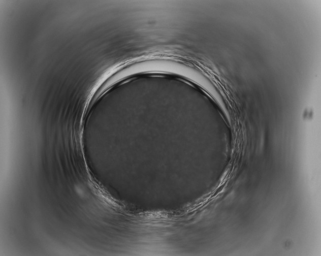 X0000099410100200805091229