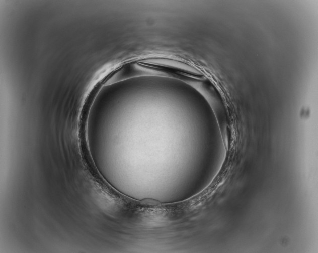 X0000099410104200805091229