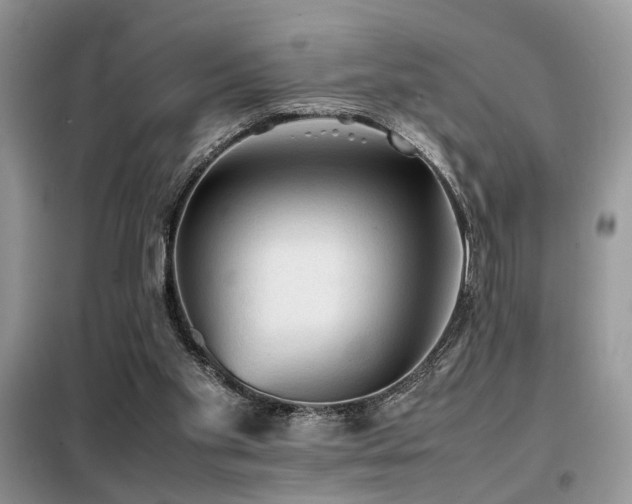 X0000099410109200805091229