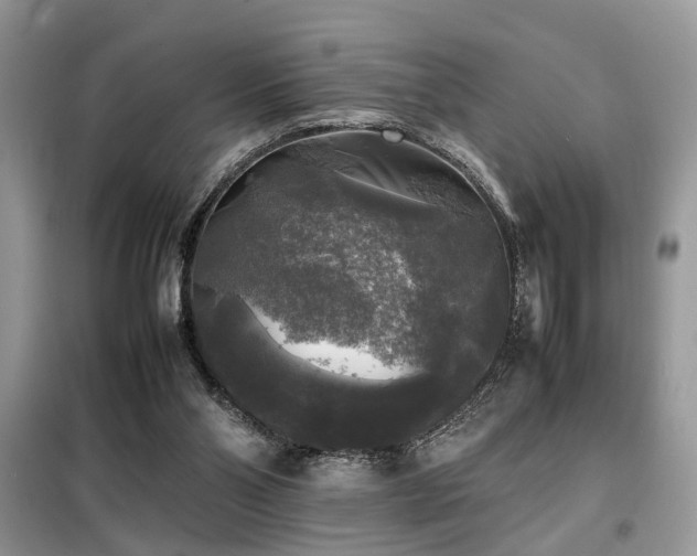 X0000099410110200805091229