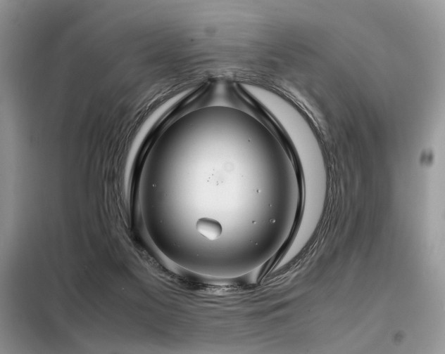 X0000099410117200805091229