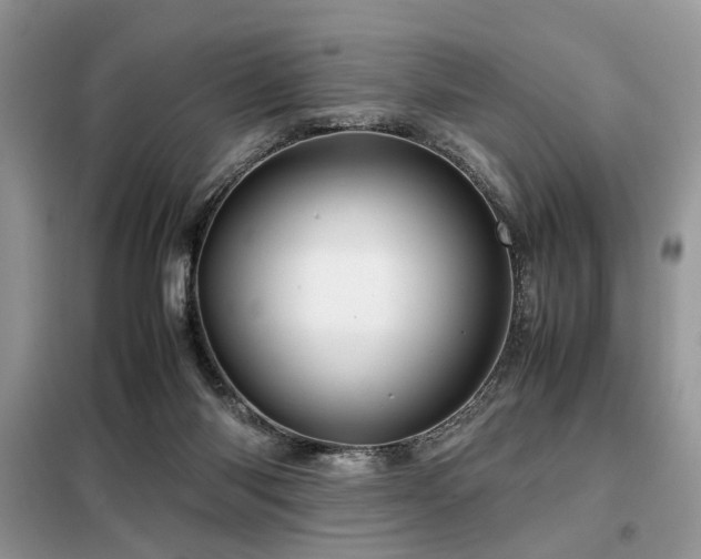 X0000099410118200805091229