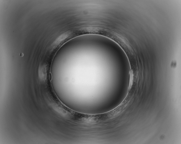 X0000099410120200805091229